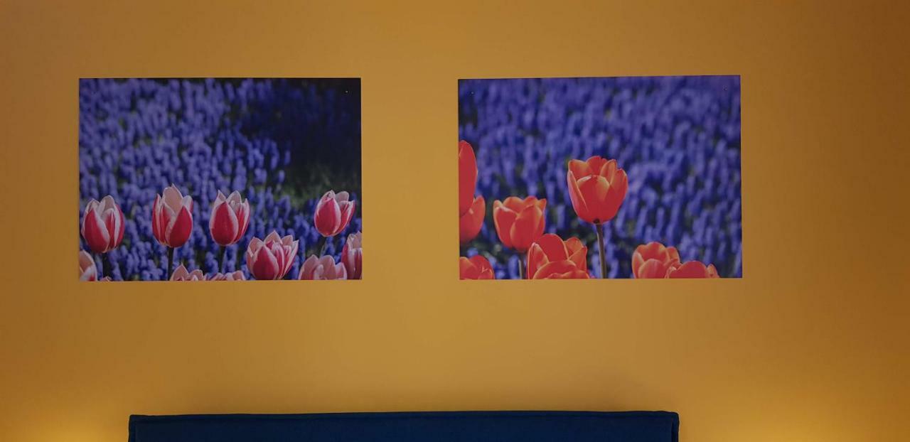 Pied A Terre - Atelier Daire Verona Dış mekan fotoğraf
